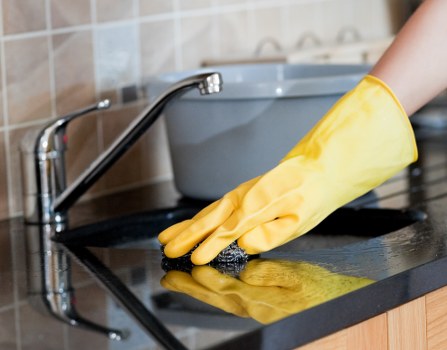 Carpet cleaning service terms document introduction