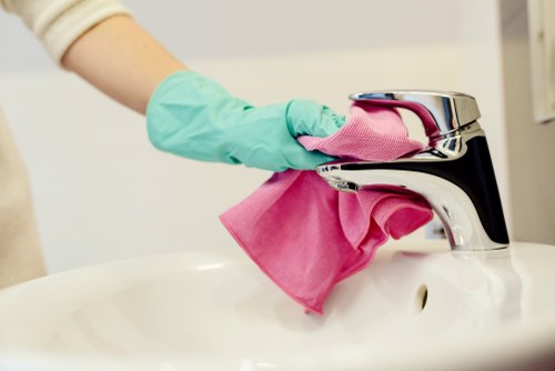 Professional mattress cleaning in Leamouth with deep hygiene care