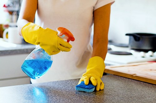 Reviewing payment details in the secure Leamouth Carpet Cleaners checkout