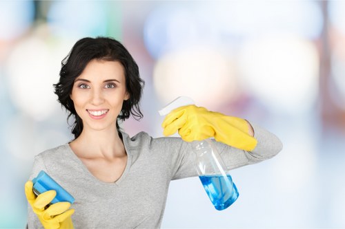Trusted carpet cleaning service in Leamouth for homes and businesses