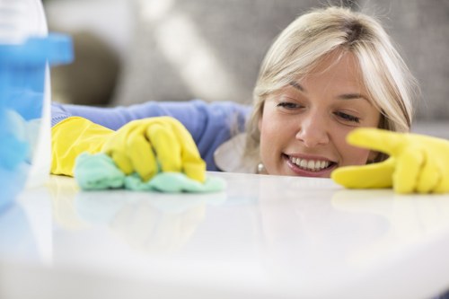 Spot cleaning a fresh spill on fabric in Leamouth