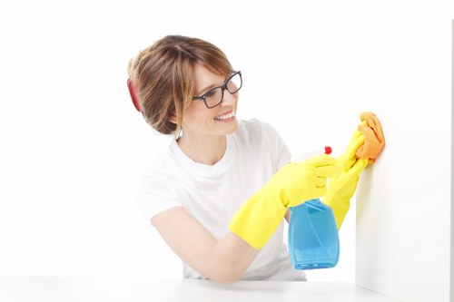 Fresh, clean living room after pet stain odour removal