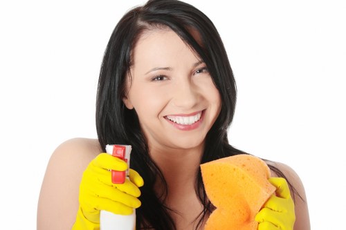 Professional carpet cleaning treatment removing dirt and stains