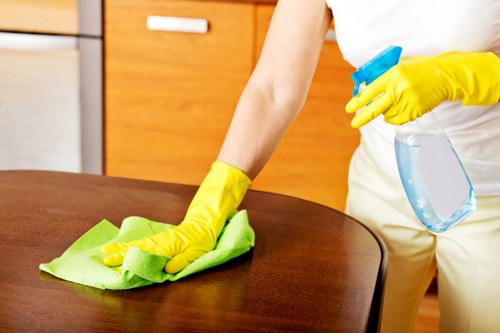 Cleaning equipment used for mattress cleaning in a Leamouth home