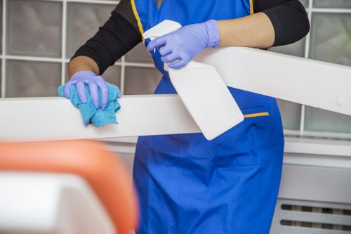 Deep carpet cleaning equipment used in Leamouth property